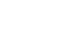 Websites Fast